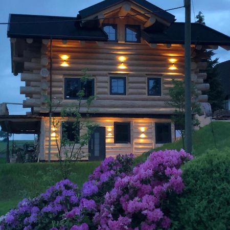 Fichtenhaus Am Wisentpfad Bad Berleburg Kültér fotó