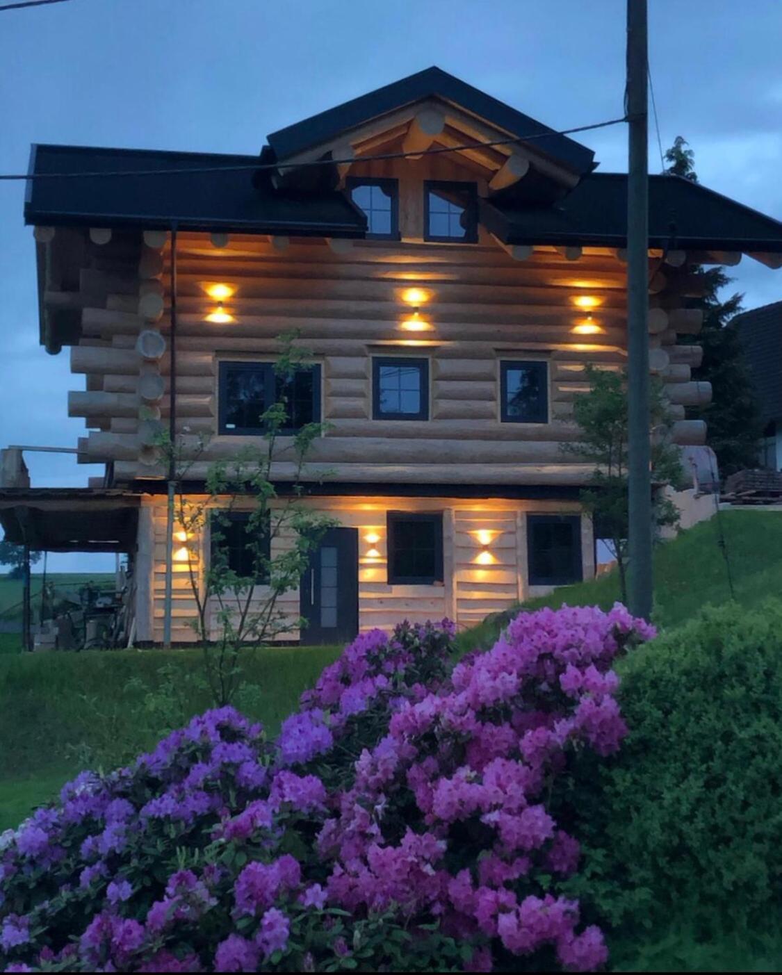 Fichtenhaus Am Wisentpfad Bad Berleburg Kültér fotó
